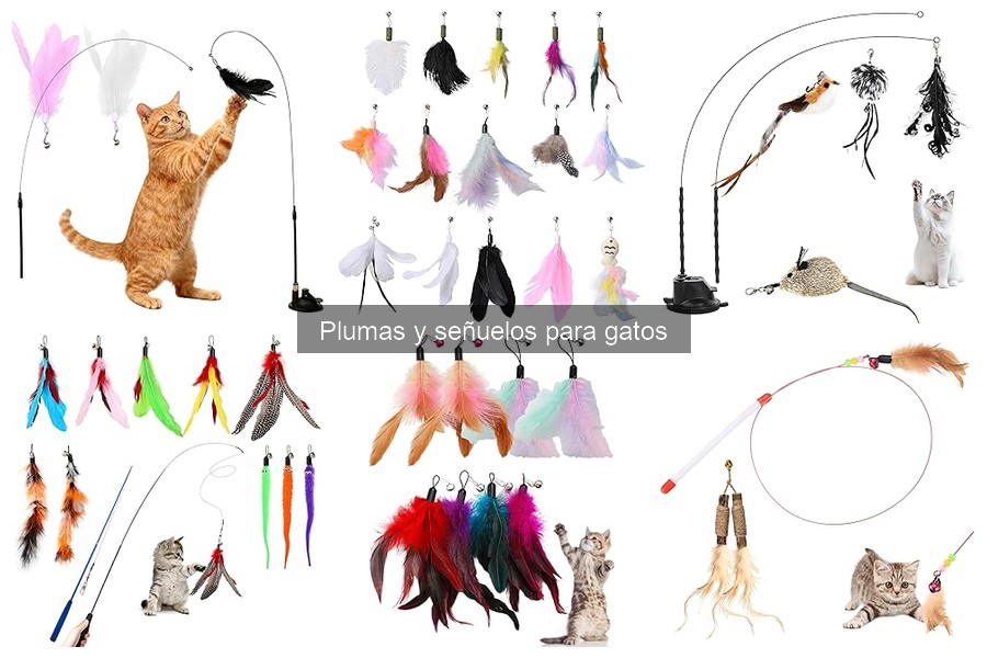 Cómo cuidar plumas y señuelos para gatos: guías y consejos