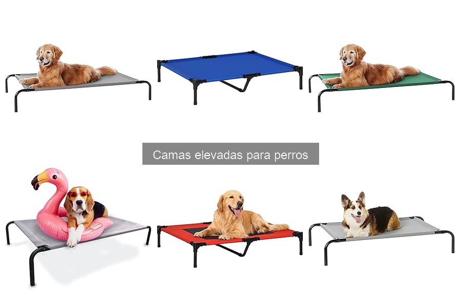 Cómo cuidar y mantener camas elevadas para perros