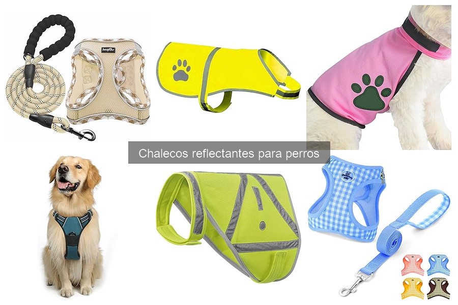 Cómo cuidar y mantener el chaleco reflectante para perros