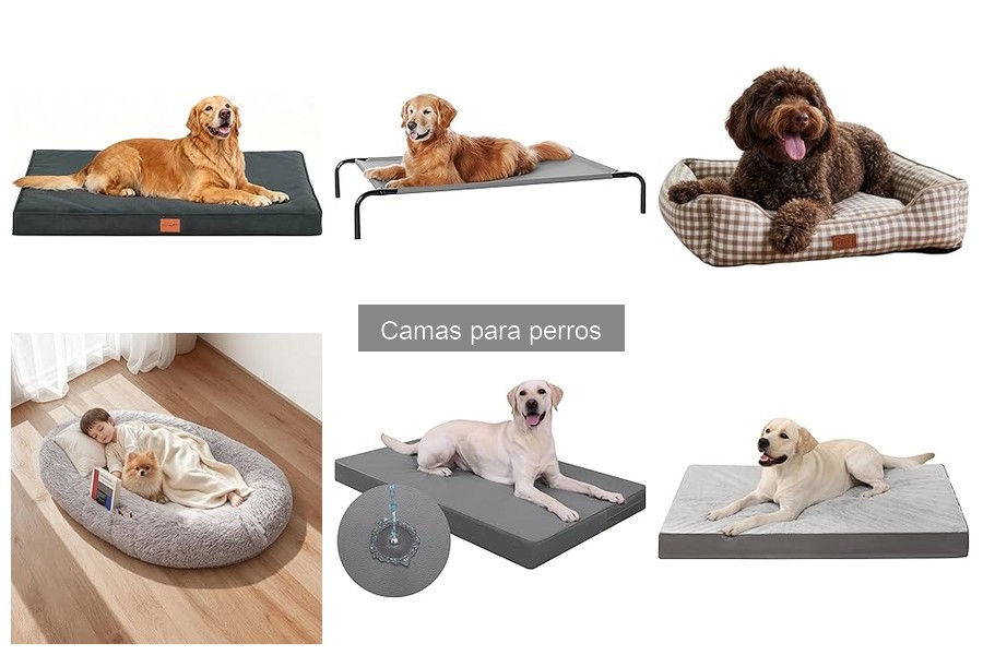 Cómo cuidar y mantener la cama de tu perro