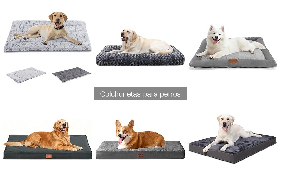 Cómo cuidar y mantener la colchoneta para perros