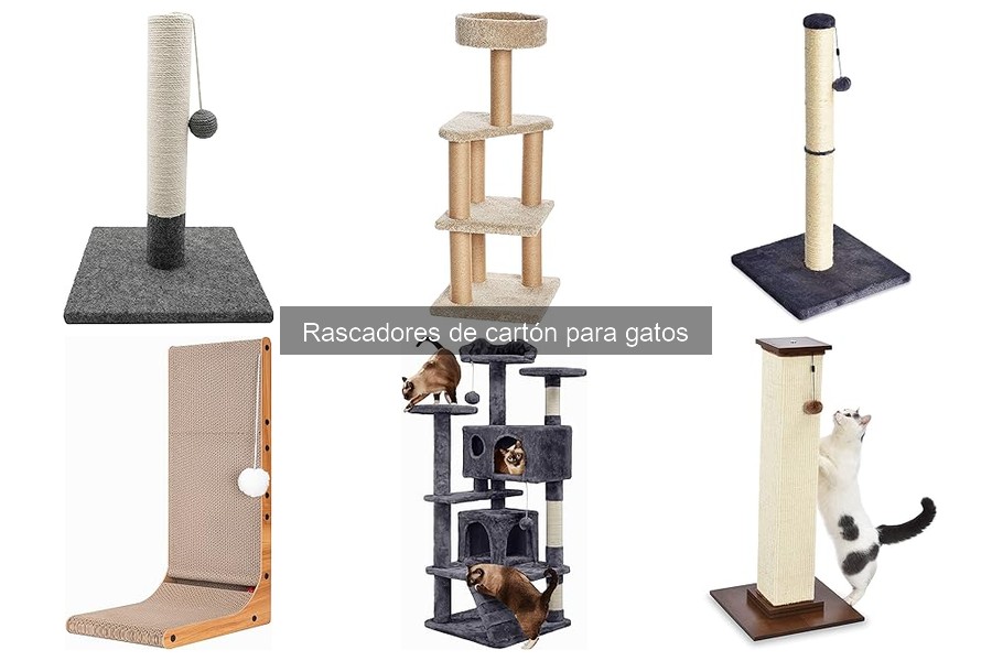 Cómo cuidar y mantener rascadores de cartón para gatos