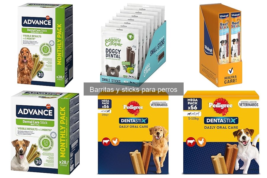 Cómo Dar Barritas y Sticks a Tu Perro de Forma Saludable
