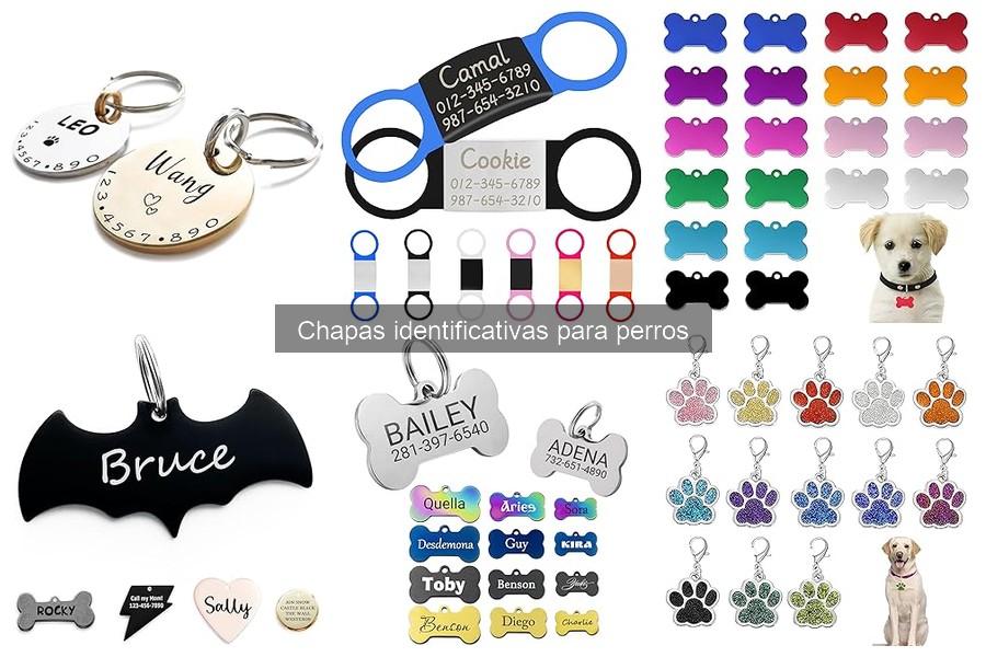 Cómo elegir chapas identificativas para perros con alergias