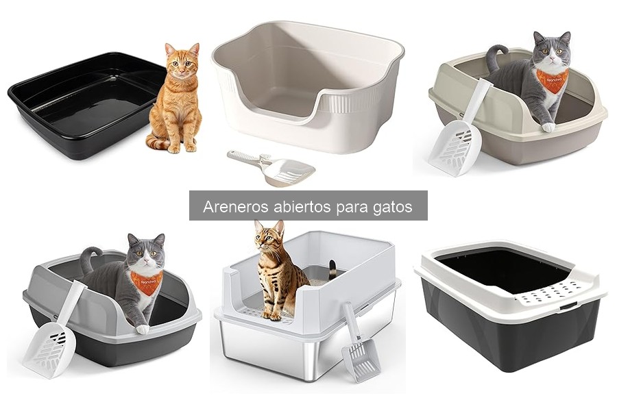 Cómo elegir el arenero abierto adecuado para tu gato