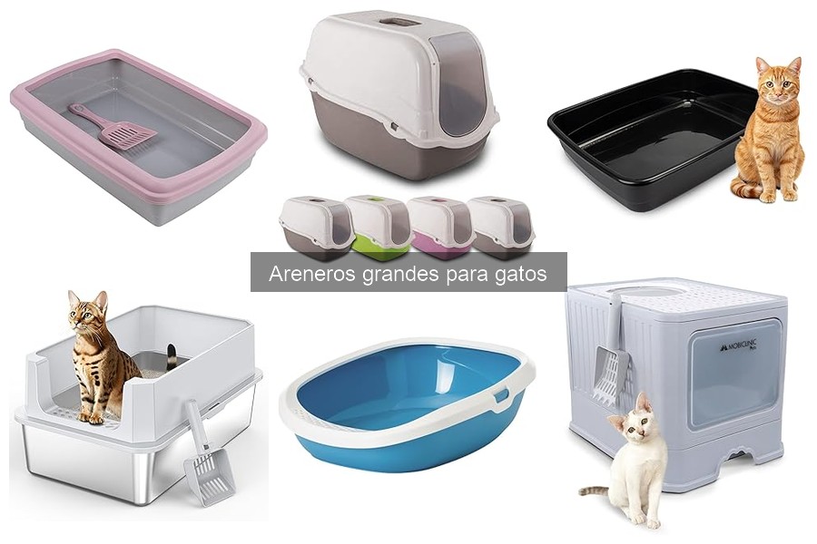 Cómo elegir el arenero grande adecuado para tu gato