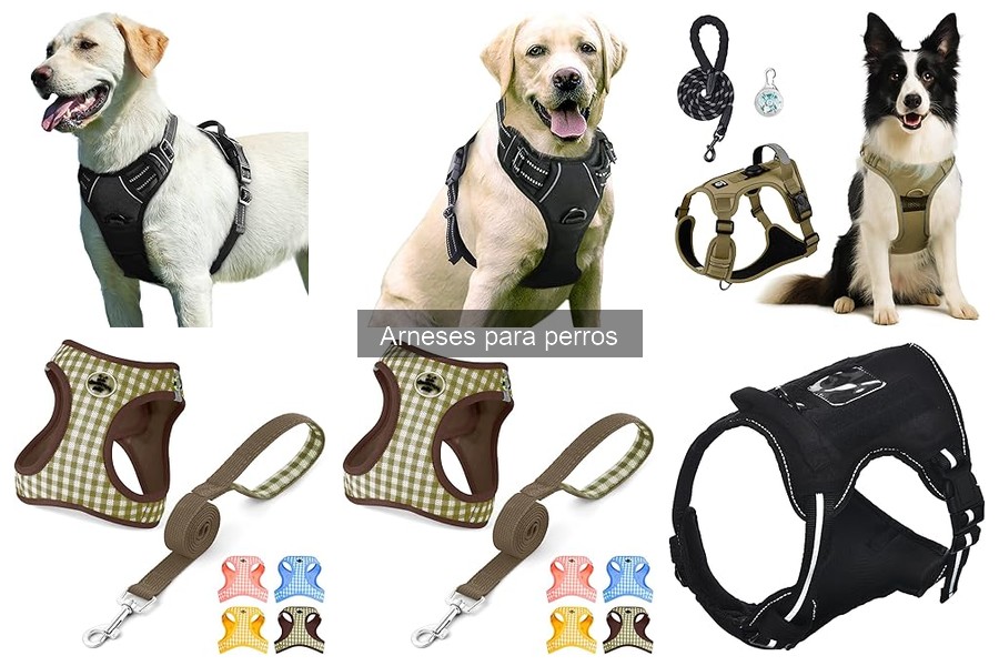 Cómo elegir el arnés adecuado para tu perro - Guía de compra
