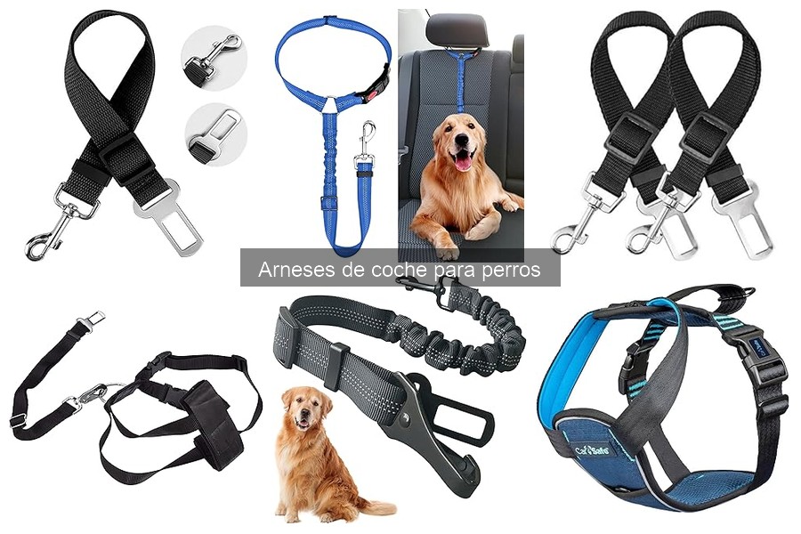 Cómo elegir el arnés de coche perfecto para tu perro