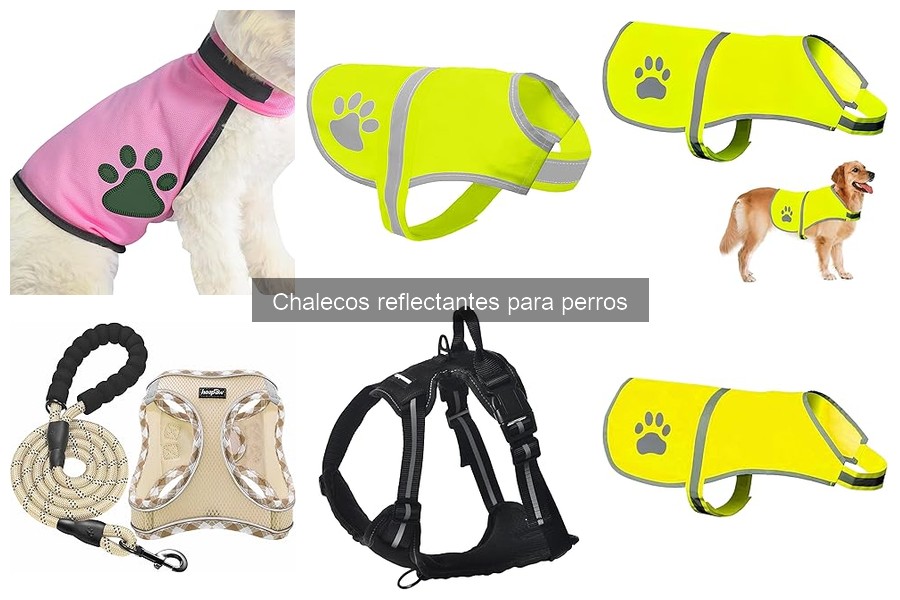 Cómo elegir el chaleco reflectante perfecto para tu perro
