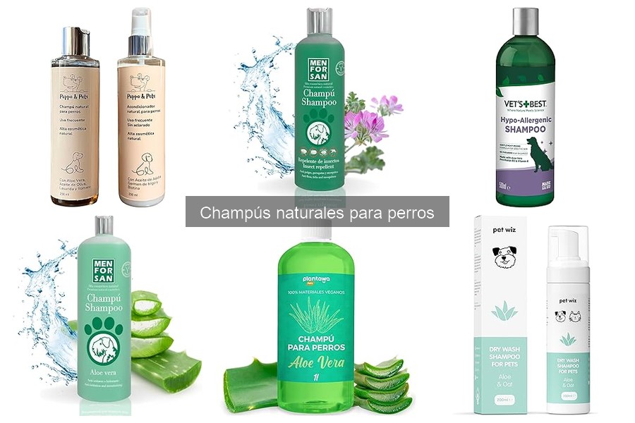 Cómo elegir el champú natural ideal para tu perro