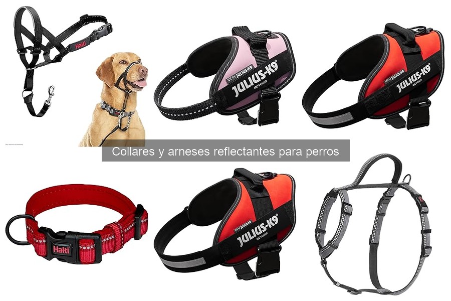 Cómo elegir el collar reflectante perfecto para tu perro