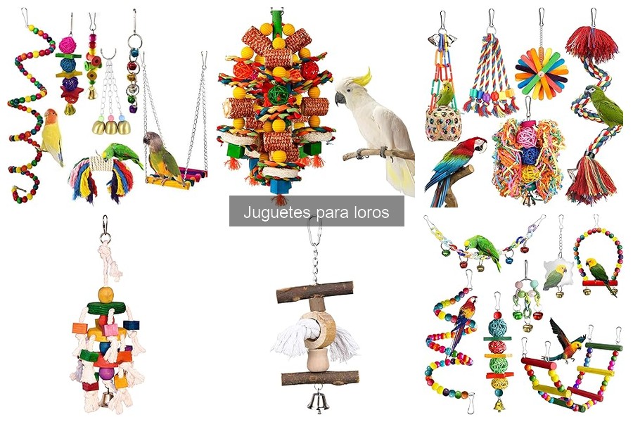 Cómo elegir el juguete perfecto para tu loro