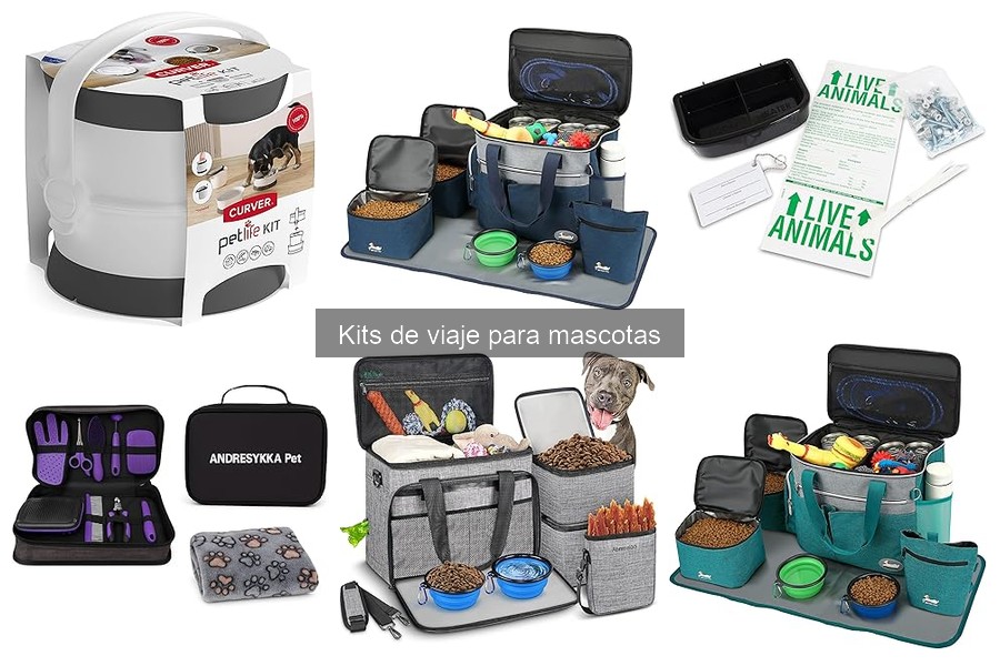 Cómo elegir el kit de viaje ideal para tu mascota