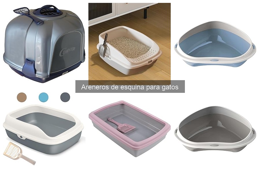 Cómo elegir el mejor arenero de esquina para tu gato