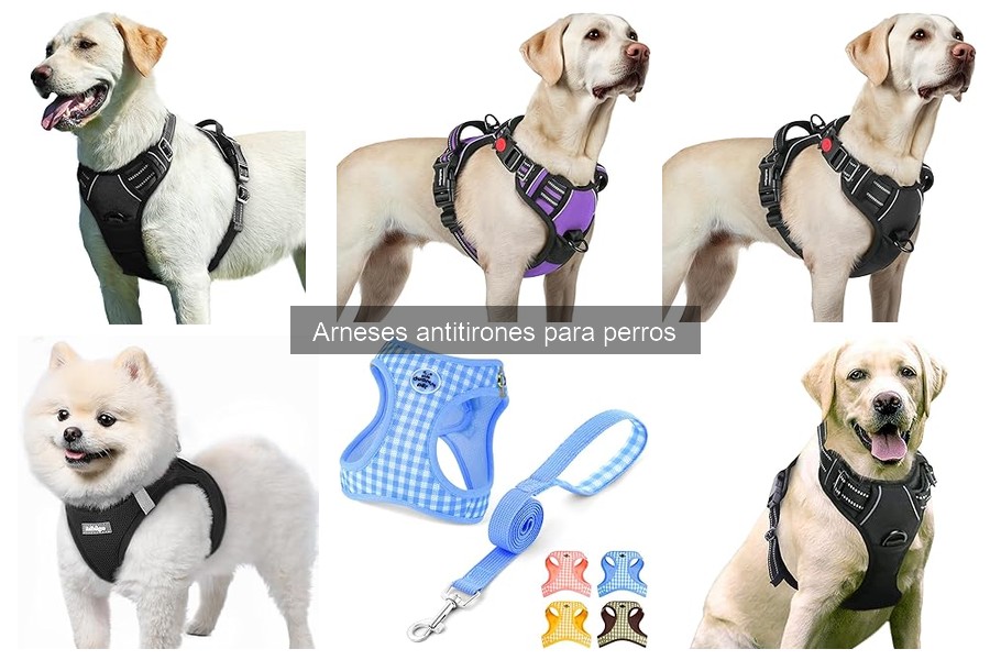 Cómo Elegir el Mejor Arnés Antitirones para tu Perro