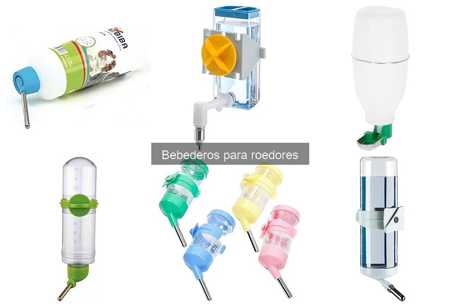 Cómo elegir el mejor bebedero para tu roedor