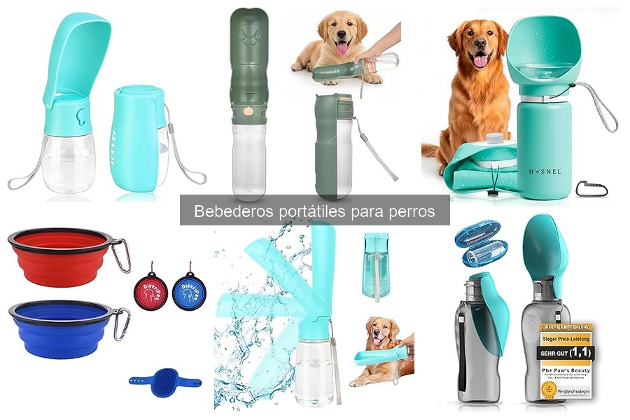 Cómo elegir el mejor bebedero portátil para perros