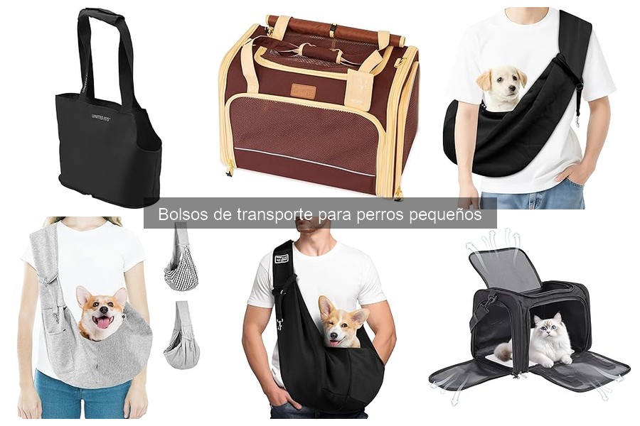 Cómo elegir el mejor bolso de transporte para perros pequeños