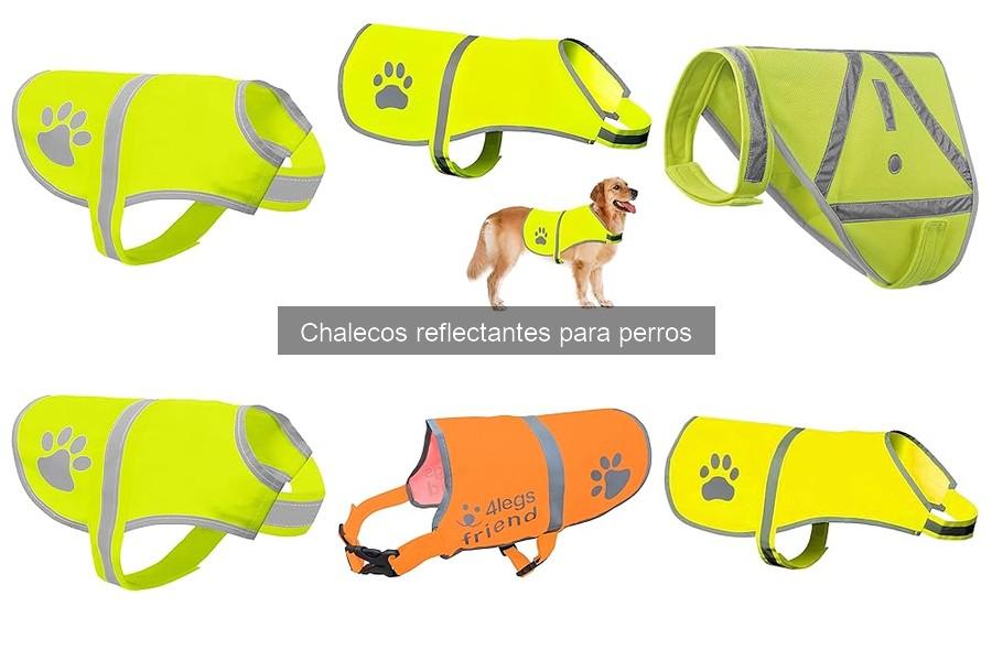 Cómo elegir el mejor chaleco reflectante para perros