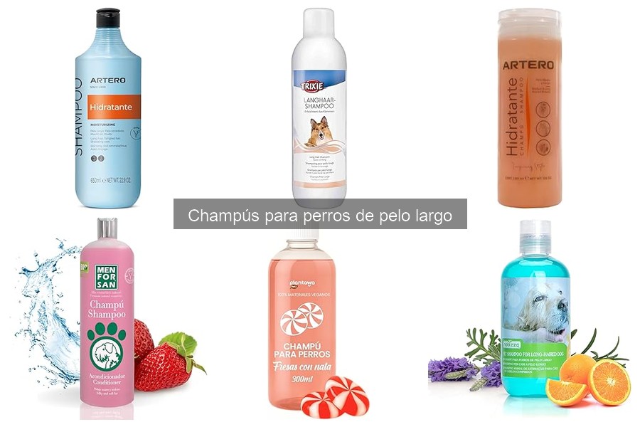 Cómo elegir el mejor champú para perros de pelo largo