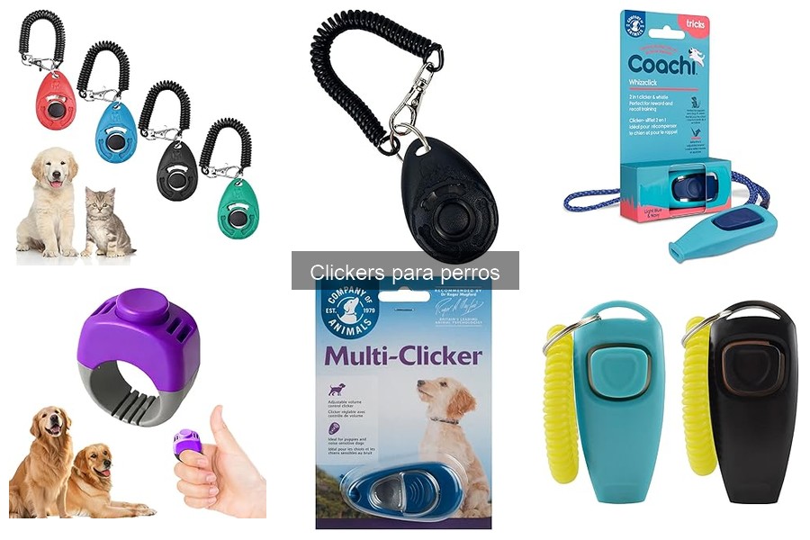 Cómo elegir el mejor clicker para perros en 2024