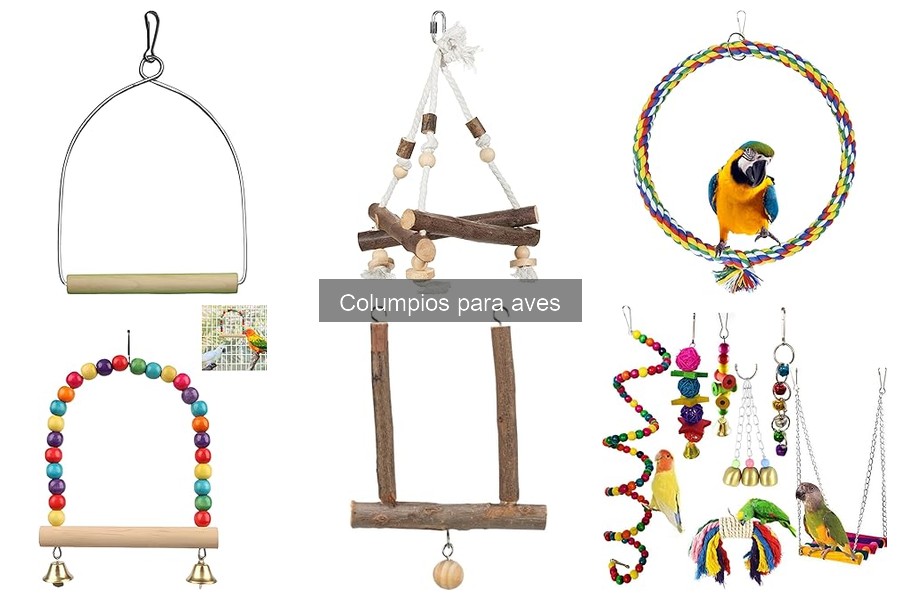 Cómo elegir el mejor columpio para aves fácilmente