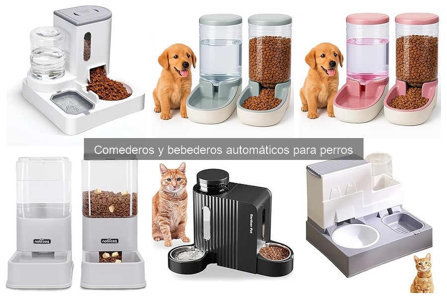 Cómo elegir el mejor comedero automático para tu perro