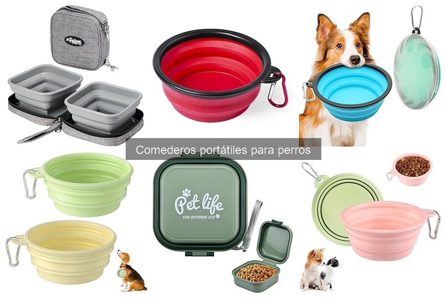 Cómo elegir el mejor comedero portátil para perros