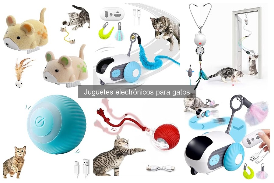 Cómo elegir el mejor juguete electrónico para gatos