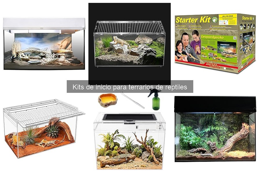 Cómo elegir el mejor kit de inicio para tu reptil