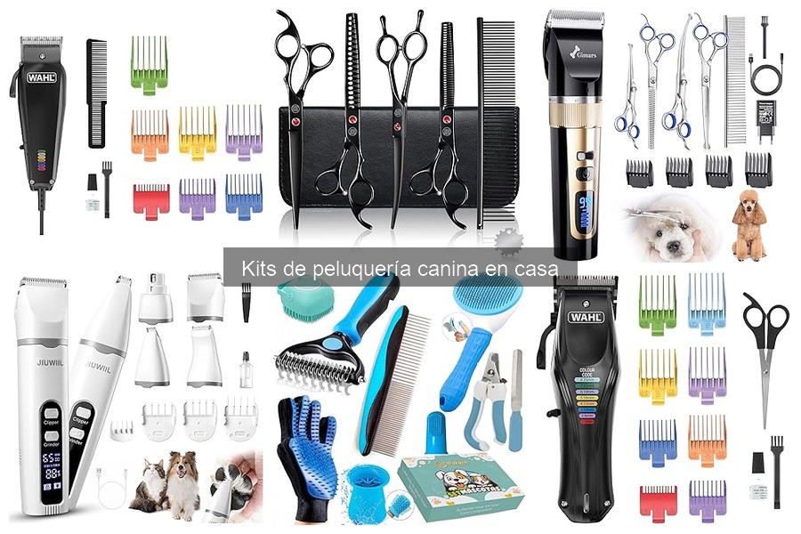 ¿Cómo elegir el mejor kit de peluquería canina en casa?