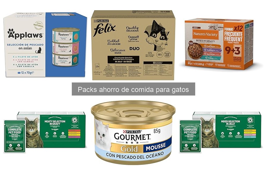 Cómo elegir el mejor pack de comida para gatos
