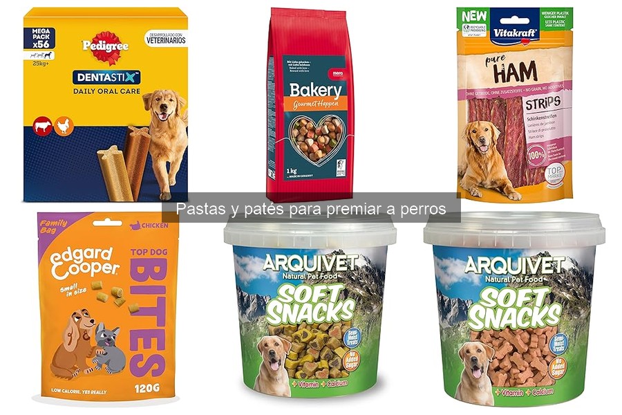 Cómo elegir el mejor paté o pasta para perros
