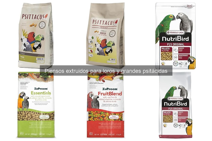 Cómo elegir el mejor pienso extruido para loros y grandes psitácidas