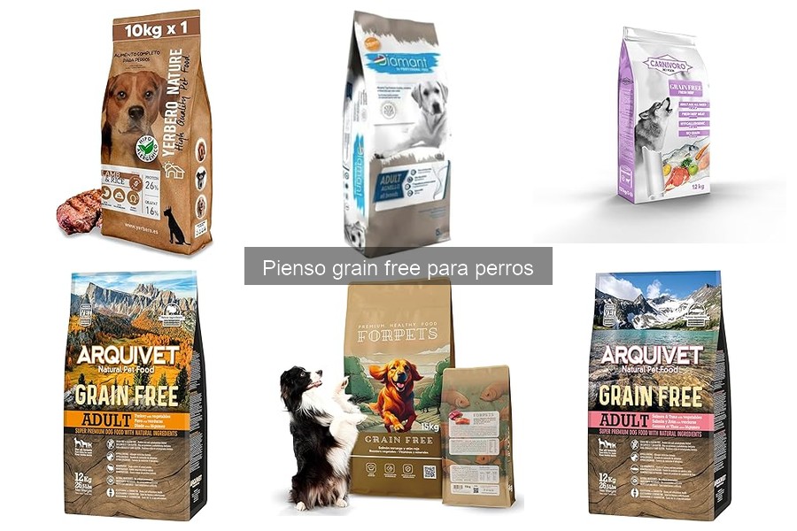 Cómo elegir el mejor pienso grain free para tu perro