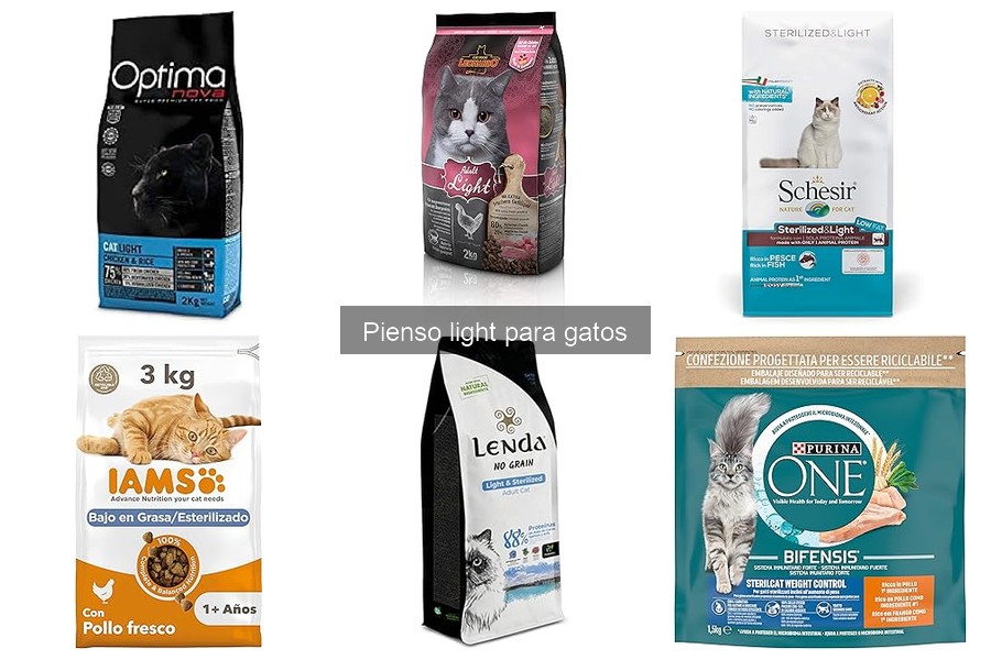 Cómo elegir el mejor pienso light para tu gato