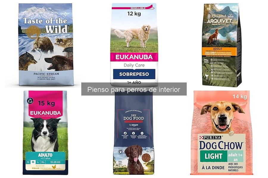 ¿Cómo elegir el mejor pienso para perros de interior?