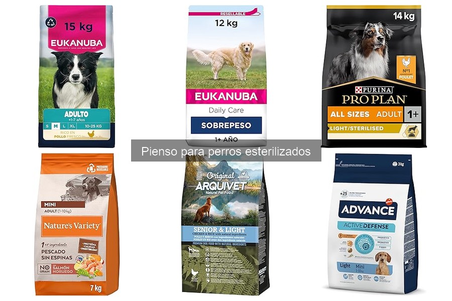 Cómo elegir el mejor pienso para perros esterilizados