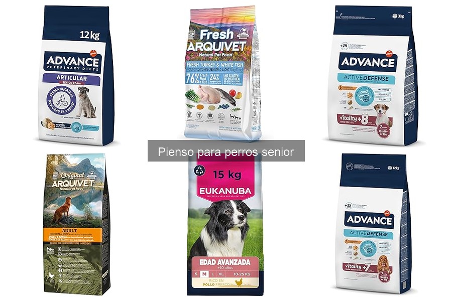 Cómo elegir el mejor pienso para perros senior (guía)
