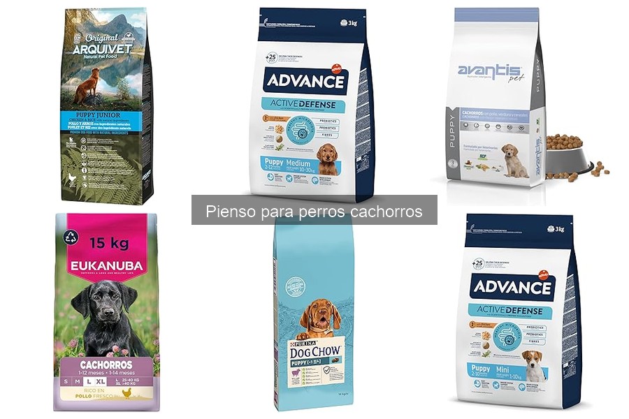 Cómo elegir el mejor pienso para tu cachorro