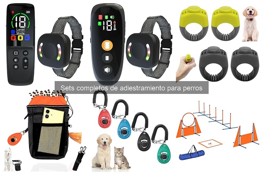 Cómo elegir el mejor set de adiestramiento para perros