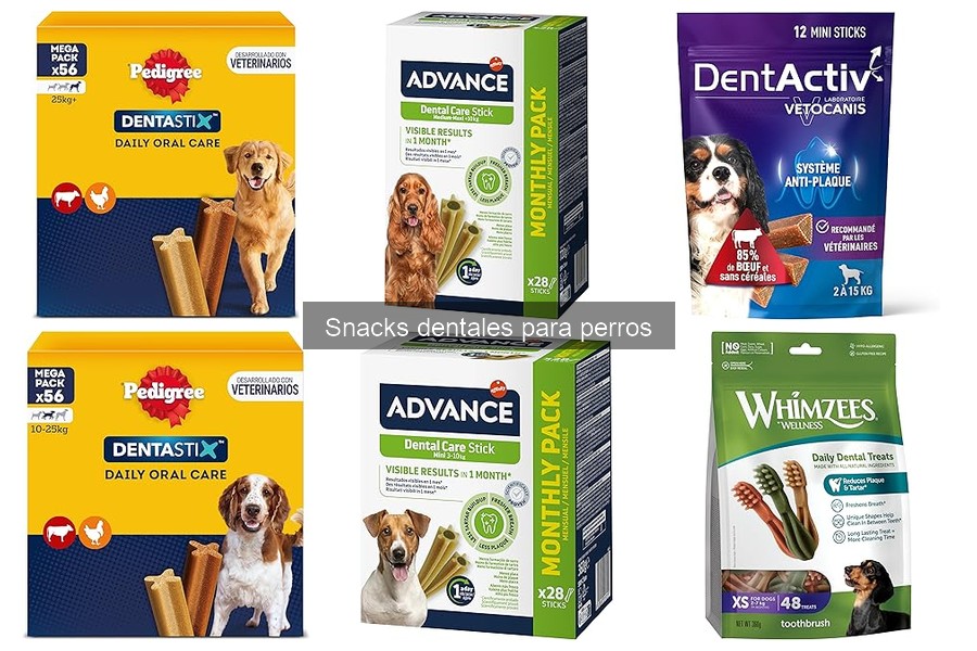 Cómo elegir el mejor snack dental para tu perro