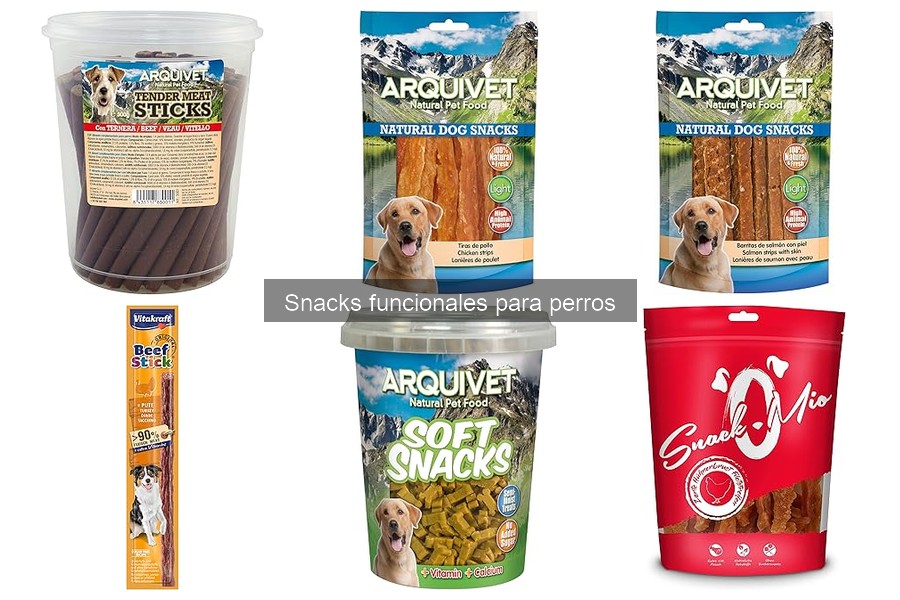 Cómo elegir el mejor snack funcional para perros