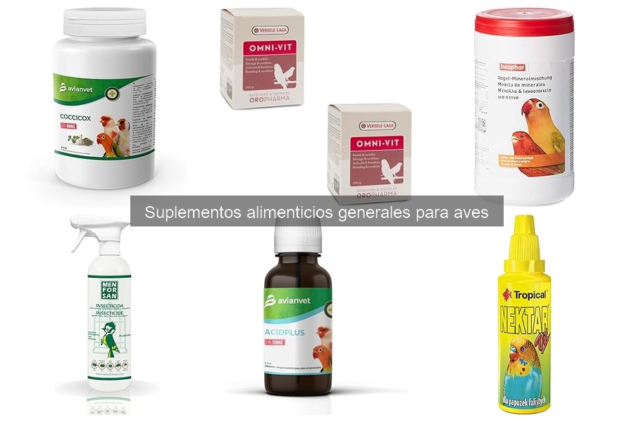 Cómo elegir el mejor suplemento alimenticio para aves