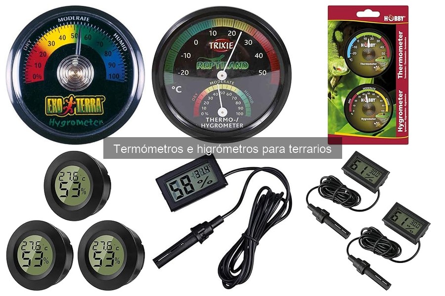 Cómo elegir el mejor termómetro e higrómetro para terrarios