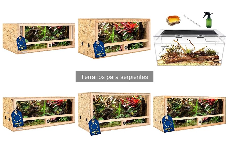 Cómo elegir el mejor terrario para tu serpiente