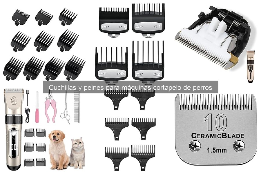 Cómo elegir el peine ideal para máquina cortapelo de perros