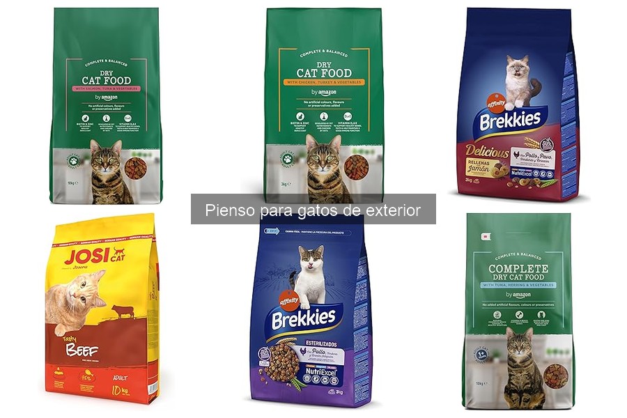 Cómo elegir el pienso adecuado para gatos de exterior