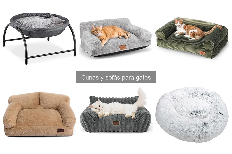 Cómo elegir el sofá perfecto para tu gato: Guía práctica