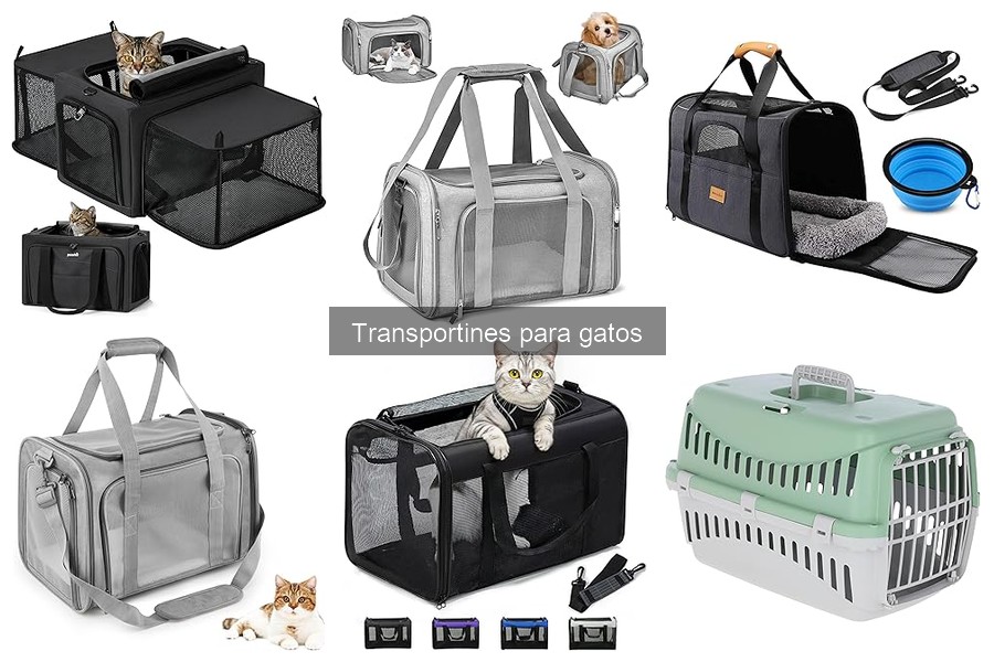 Cómo elegir el tamaño ideal de un transportín para gatos